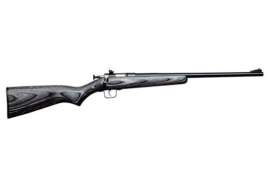 Keystone Sporting Arms Crickett Laminate .22 LR   Single Shot Rifles CRCKT-GW136CV4 611613022442