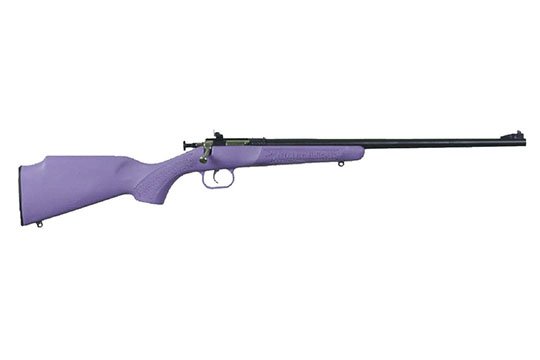 Keystone Sporting Arms Crickett Synthetic  .22 LR Blue Single Shot Rifles CRCKT-YGW28RUN 611613023067