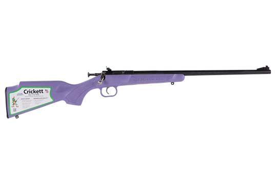 Keystone Sporting Arms Single Shot Synthetic .22 WMR   Single Shot Rifles CRCKT-BEREC913 611613023081