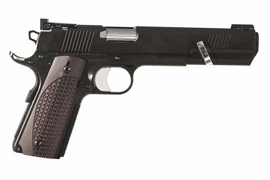 Dan Wesson Bruin-2  10mm  Semi Auto Pistol UPC 806703018805