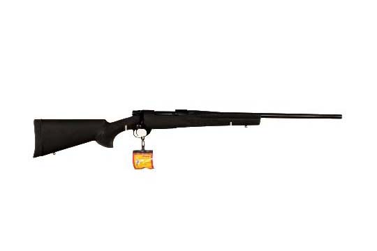 Howa Hogue  .22-250 Rem.  Bolt Action Rifle UPC 6.82146E+11