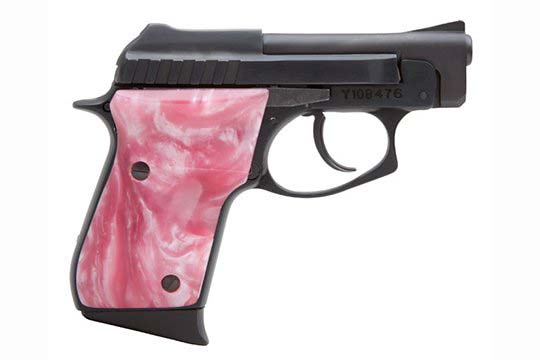 Taurus PT-22  .22 LR  Semi Auto Pistol UPC 725327601845