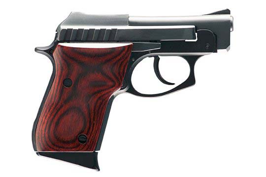 Taurus PT-22  .22 LR  Semi Auto Pistol UPC 725327310303